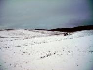 Острів з panoramio.com