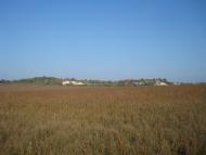 Закупне з panoramio.com