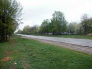 Любомирівка з panoramio.com