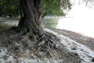 Малокаховка - Останні фото