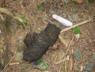 Осмолода з panoramio.com (ч.2)