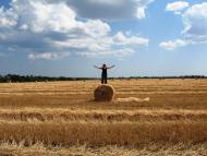 Прилиманське з panoramio.com