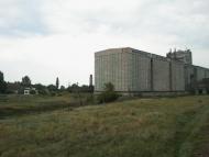 Павлопілля - Останні фото