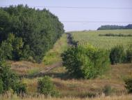 Тополівка - Останні фото