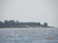 Вереміївка з panoramio.com