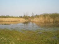 Манжосівка з panoramio.com