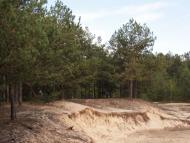 Світязь з panoramio.com