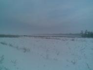 Пальчик - Останні фото