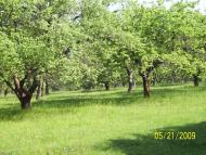 Чорнорудка з panoramio.com