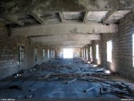 Мангуш - Останні фото