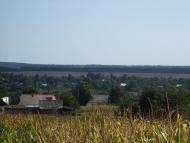 Копіївка з panoramio.com