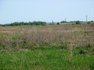 Буняківка - Останні фото