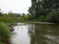 Новоугрузьке з panoramio.com