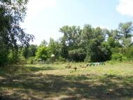 Кияшки з panoramio.com