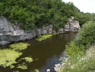 Буки з panoramio.com