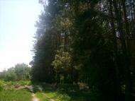 Козлів з panoramio.com