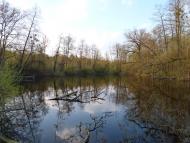 Глибочка з panoramio.com