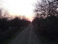 Переможне - Останні фото