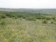Новозванівка з panoramio.com