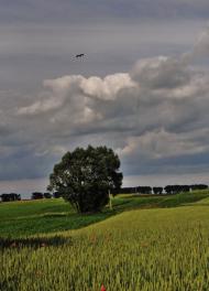 Гринів - Останні фото