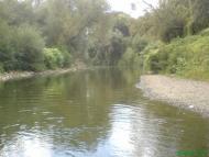 Дібрівка - Останні фото