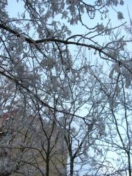 Розівка з panoramio.com (ч.2)