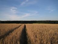 Іскрівка - Останні фото