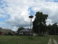 Осіч з panoramio.com