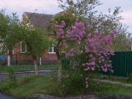 Соснівка - Останні фото