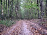 Рублевка - Последние фото