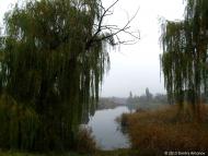 Вільне з panoramio.com