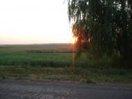 Обрив з panoramio.com