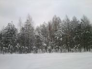 Шостка з panoramio.com