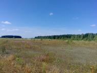 Горностаївка з panoramio.com