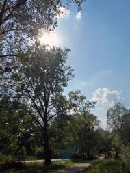 Новоугрузьке з panoramio.com