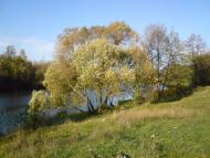 Глибочка з panoramio.com