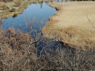 Зугрес з panoramio.com (ч.2)