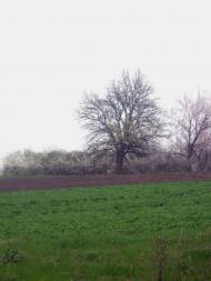 Нижче Солоне з panoramio.com