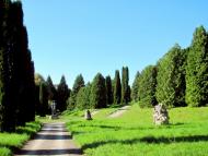 Олесько з panoramio.com