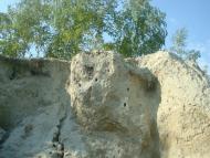 Стайки з panoramio.com