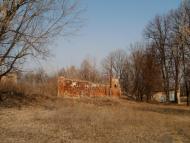 Куна - Останні фото