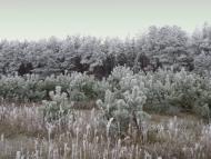 Пальчик з panoramio.com