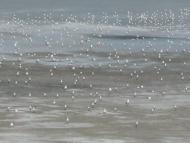 Заветное - Последние фото