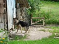 Верхня Грабівниця з panoramio.com