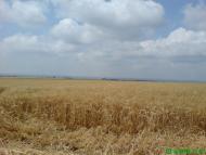 Вершина - Последние фото