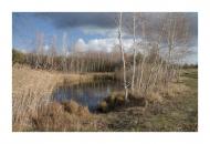 Житлівка - Останні фото