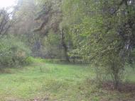 Петрове з panoramio.com