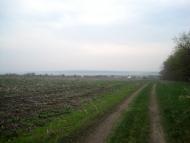Нижче Солоне з panoramio.com