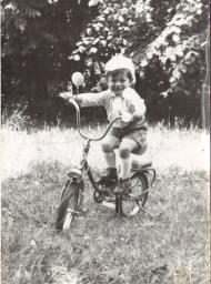 Тростянець з panoramio.com