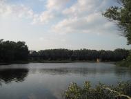 Кияшки з panoramio.com